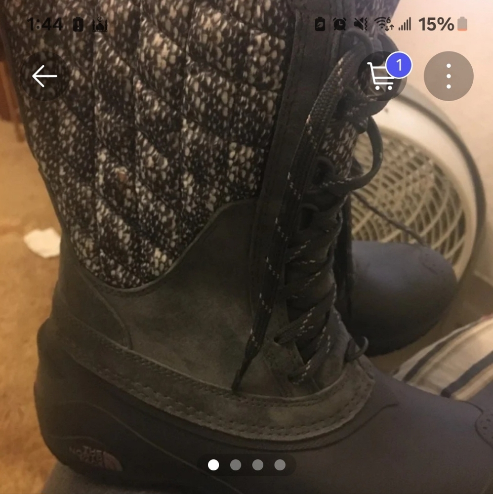 Fall or winter boots